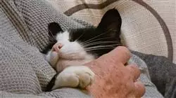 ##IMAGE##