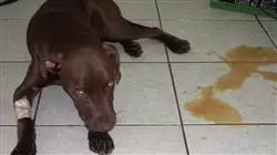 ##IMAGE##