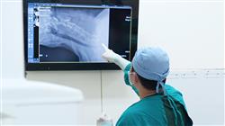 curso online experto diagnostico radiologico ortopedico neurologico pequenos animales