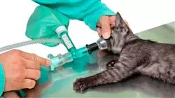 ##IMAGE##