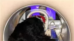 ##IMAGE##