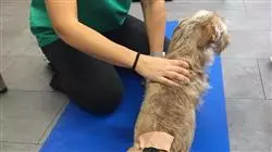 ##IMAGE##