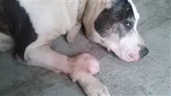 ##IMAGE##