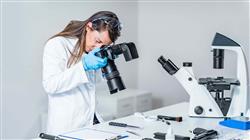 maestria online peritaje judicial veterinario