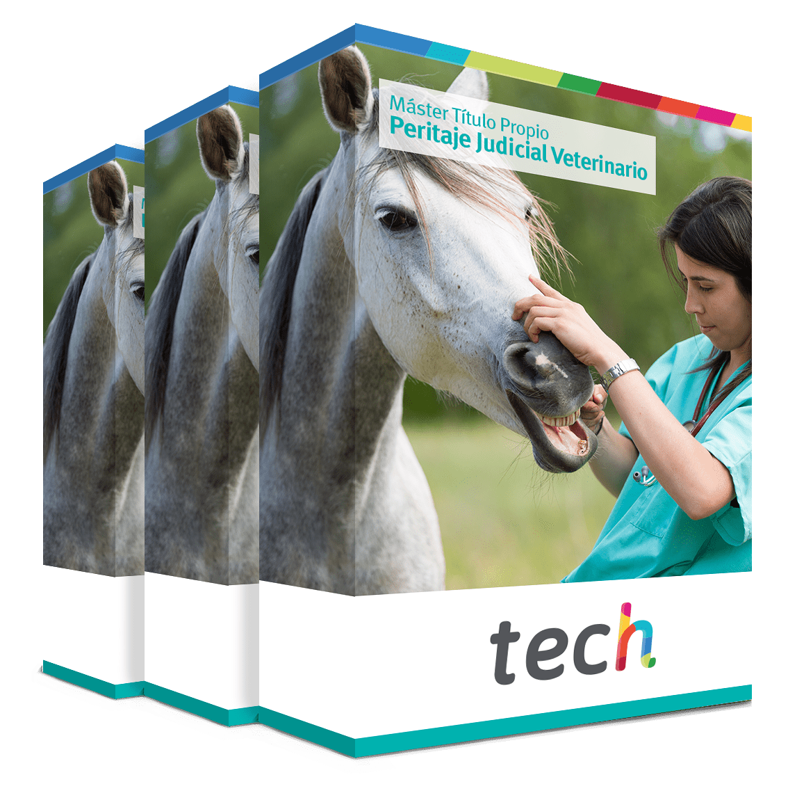 maestria peritaje judicial veterinario caja