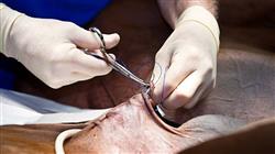 capacitacion medicina cirugia equina