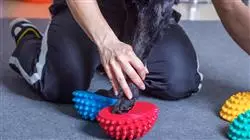 ##IMAGE##