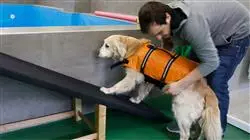##IMAGE##