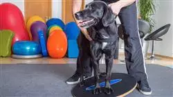 ##IMAGE##