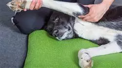 ##IMAGE##