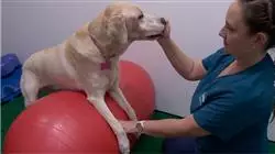 ##IMAGE##