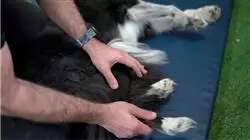 ##IMAGE##