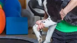 ##IMAGE##