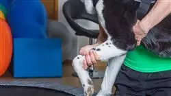##IMAGE##
