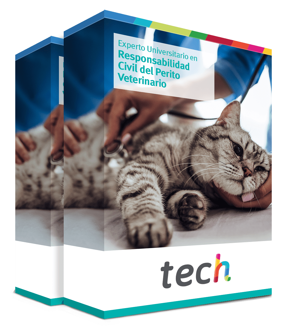 especializacion responsabilidad civil perito veterinario caja