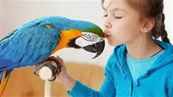 ##IMAGE##