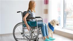 experto programas intervencion asistida animales