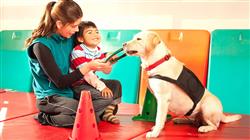 formacion programas intervencion asistida animales