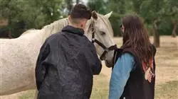 ##IMAGE##