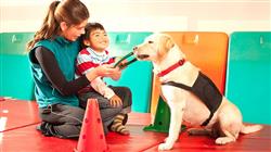 formacion terapia asistida animales psicologia aprendizaje