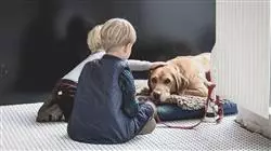 ##IMAGE##