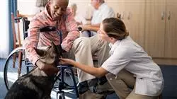 diplomado intervencion asistida caninos