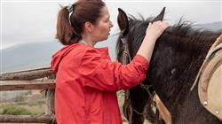 curso intervencion asistida equinos