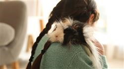 curso online intervencion asistida animales no convencionales