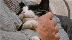 ##IMAGE##