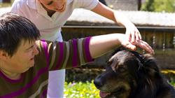 curso areas aplicacion intervenciones asistidas animales iaa