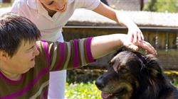 diplomado areas aplicacion intervenciones asistidas animales iaa