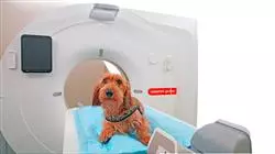 ##IMAGE##