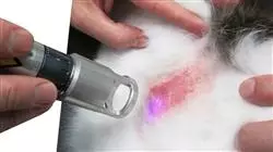 ##IMAGE##