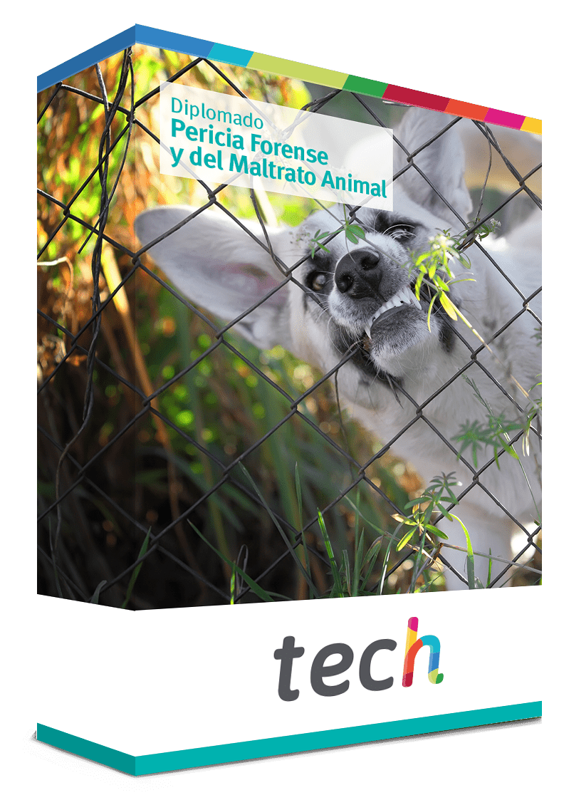 diplomado pericia forense maltrato animal caja