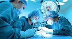 especializacion manejo del dolor en pequeños animales