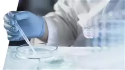 ##IMAGE##