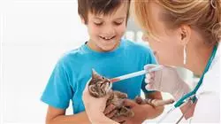 ##IMAGE##