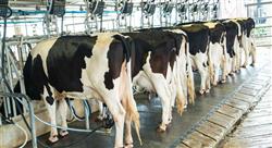 posgrado seguridad alimentaria veterinaria