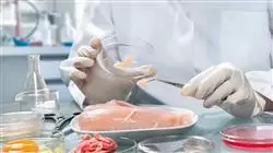 ##IMAGE##