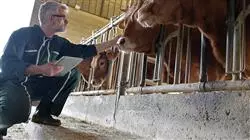 ##IMAGE##