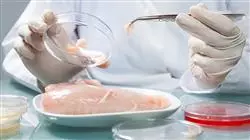 ##IMAGE##