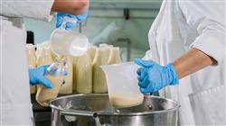 experto universitario desarrollo nuevos alimentos ingredientes proyectos i d i