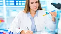 ##IMAGE##