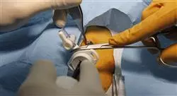 curso cirugía de mínima invasión en pequeños animales