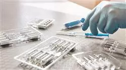 diplomado online cirugia veterinaria pequenos animales