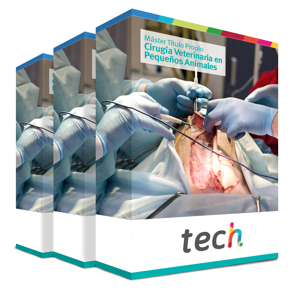 tech universidad tecnologica