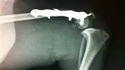 ##IMAGE##