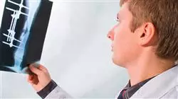 ##IMAGE##