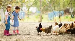 especialización nutrición y alimentación en avicultura