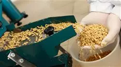 ##IMAGE##